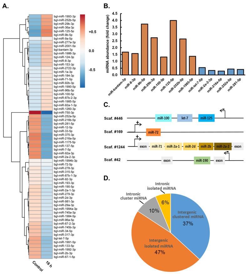 https://cdn.ncbi.nlm.nih.gov/pmc/blobs/44c7/11353429/5c990b71916d/genes-15-01023-g003.jpg