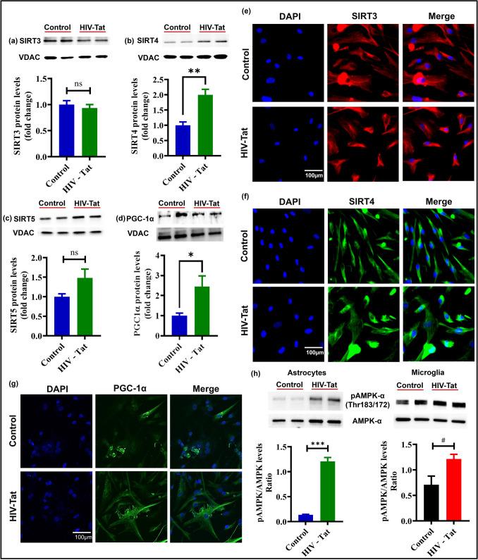 https://cdn.ncbi.nlm.nih.gov/pmc/blobs/44c9/12289736/2c2aea596bc6/12035_2025_4885_Fig6_HTML.jpg