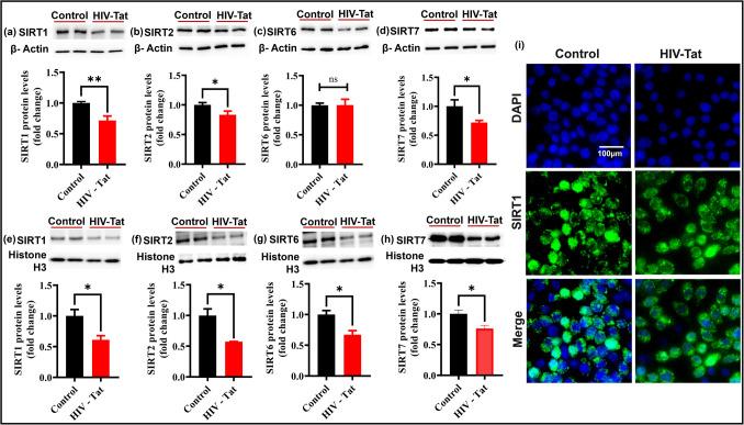 https://cdn.ncbi.nlm.nih.gov/pmc/blobs/44c9/12289736/4d253b5fb6bd/12035_2025_4885_Fig3_HTML.jpg
