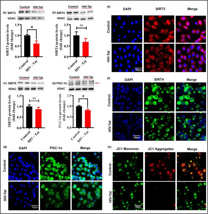 https://cdn.ncbi.nlm.nih.gov/pmc/blobs/44c9/12289736/c114062b71b6/12035_2025_4885_Fig4_HTML.jpg