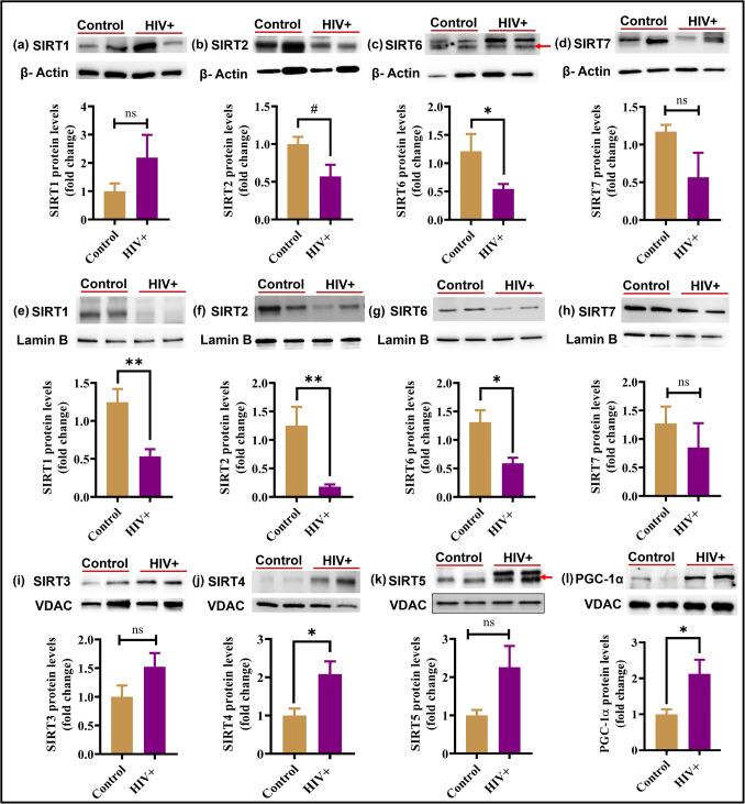 https://cdn.ncbi.nlm.nih.gov/pmc/blobs/44c9/12289736/e339ec045b8f/12035_2025_4885_Fig1_HTML.jpg