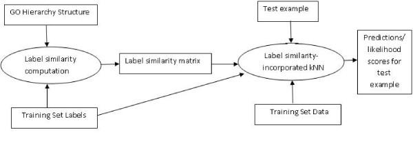 https://cdn.ncbi.nlm.nih.gov/pmc/blobs/44c9/2693438/ed6634eebeec/1471-2105-10-142-4.jpg