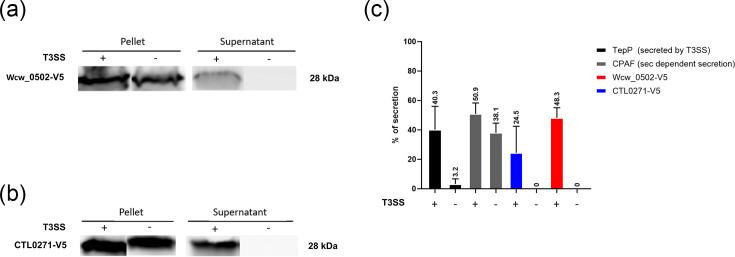 https://cdn.ncbi.nlm.nih.gov/pmc/blobs/44cc/12038028/68103995590a/mic-171-01545-g003.jpg