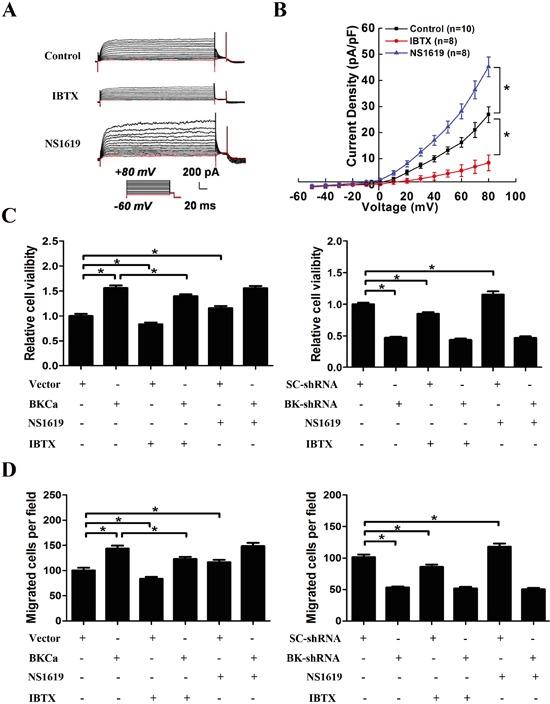 https://cdn.ncbi.nlm.nih.gov/pmc/blobs/44cc/5130001/ff2934259217/oncotarget-07-40174-g007.jpg