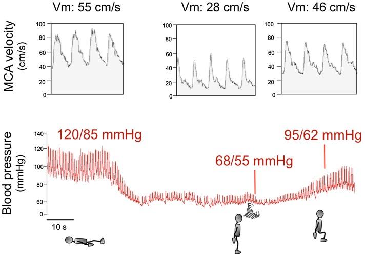 https://cdn.ncbi.nlm.nih.gov/pmc/blobs/44cc/5524853/954564adc5cd/10286_2017_437_Fig1_HTML.jpg