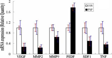 https://cdn.ncbi.nlm.nih.gov/pmc/blobs/44cd/2751803/6683df456bb5/mv-v15-1951-f5.jpg