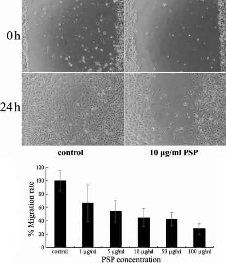 https://cdn.ncbi.nlm.nih.gov/pmc/blobs/44cd/2751803/6c619ffb92aa/mv-v15-1951-f7.jpg