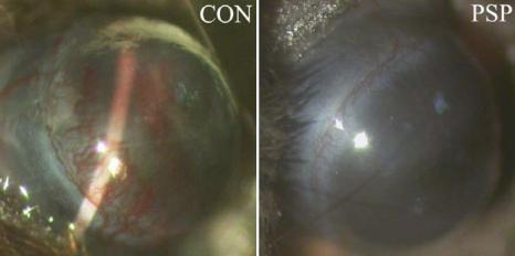 https://cdn.ncbi.nlm.nih.gov/pmc/blobs/44cd/2751803/70b8bddc138e/mv-v15-1951-f1.jpg
