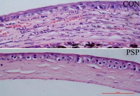 https://cdn.ncbi.nlm.nih.gov/pmc/blobs/44cd/2751803/9b88178bdca7/mv-v15-1951-f2.jpg