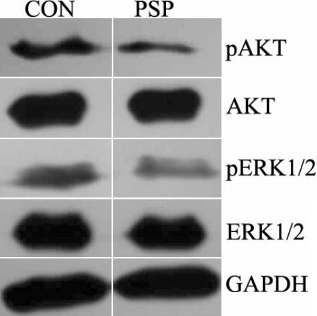 https://cdn.ncbi.nlm.nih.gov/pmc/blobs/44cd/2751803/d632f1a60a6e/mv-v15-1951-f9.jpg