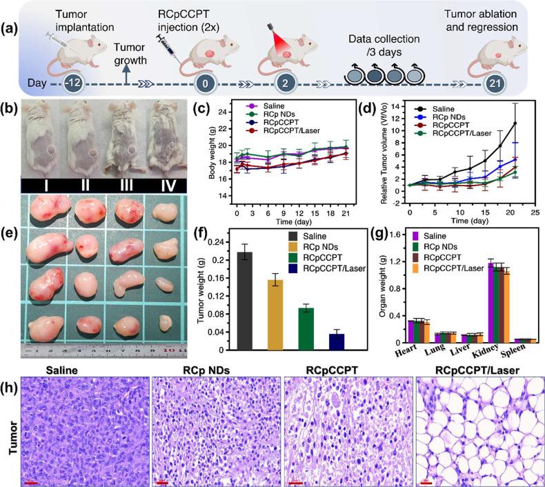 https://cdn.ncbi.nlm.nih.gov/pmc/blobs/44cf/11103653/0028b5c48037/am3c18888_0009.jpg