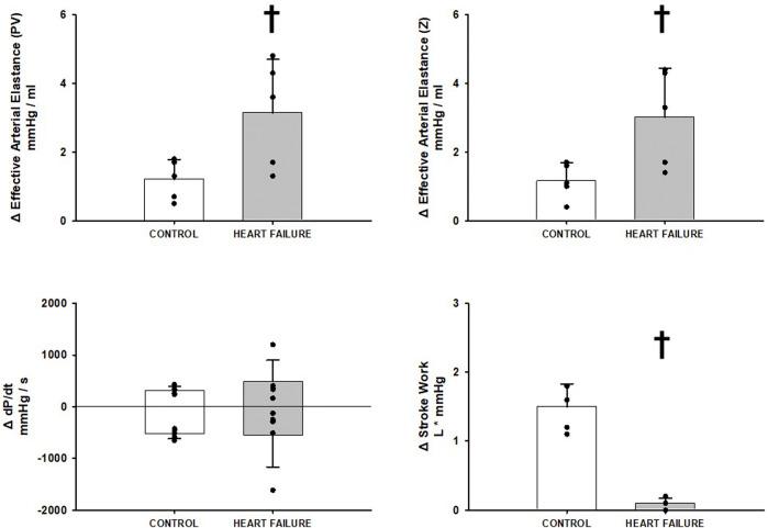 https://cdn.ncbi.nlm.nih.gov/pmc/blobs/44d1/9016757/5ec178ff0e79/fphys-13-835951-g002.jpg