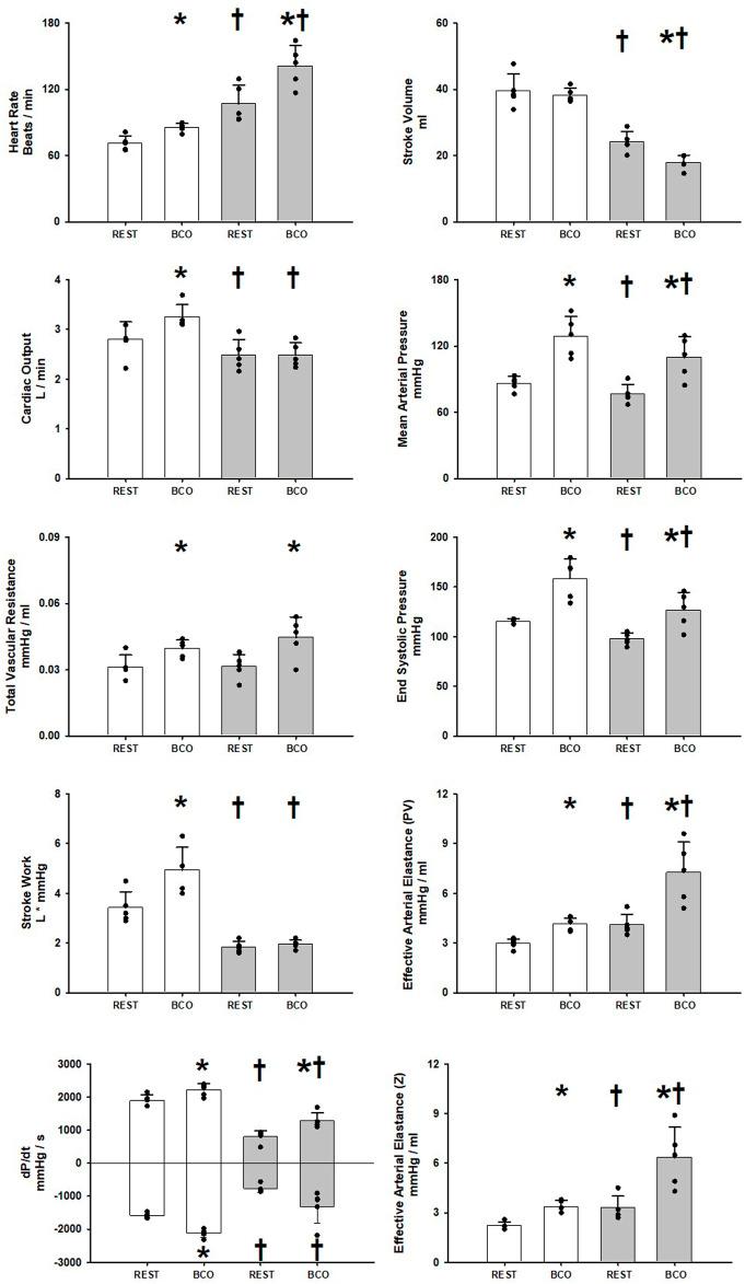 https://cdn.ncbi.nlm.nih.gov/pmc/blobs/44d1/9016757/e64fc889d927/fphys-13-835951-g001.jpg