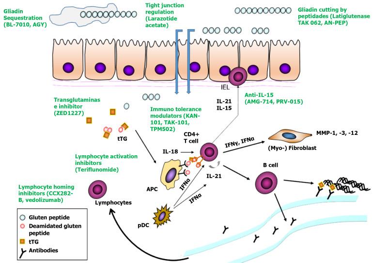 https://cdn.ncbi.nlm.nih.gov/pmc/blobs/44d2/11525874/7d3b7193a3f8/WJG-30-4194-g001.jpg