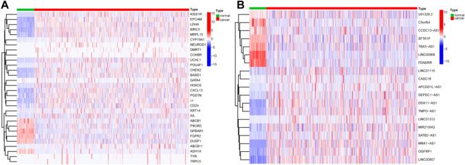 https://cdn.ncbi.nlm.nih.gov/pmc/blobs/44d3/11102376/1544fc053b1d/10238_2024_1319_Fig1_HTML.jpg
