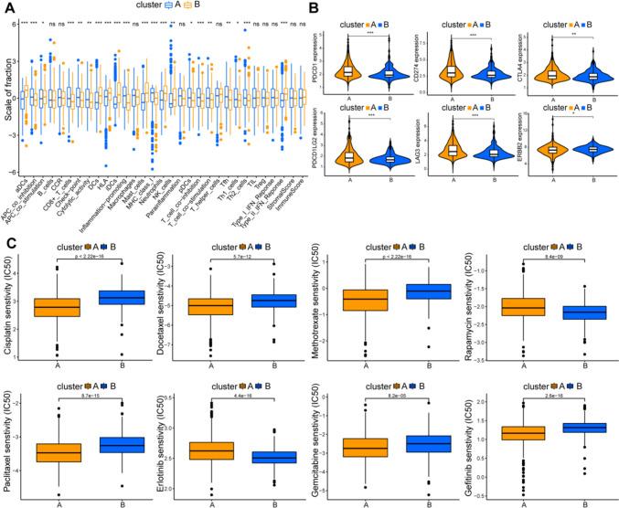 https://cdn.ncbi.nlm.nih.gov/pmc/blobs/44d3/11102376/1bc594ff6244/10238_2024_1319_Fig3_HTML.jpg