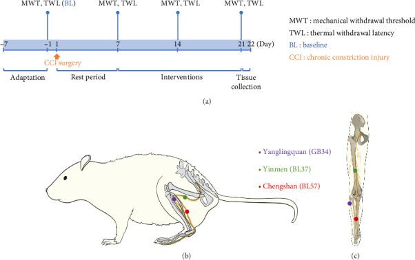 https://cdn.ncbi.nlm.nih.gov/pmc/blobs/44d3/12350020/a27b685caf6c/PRM2025-3697374.001.jpg