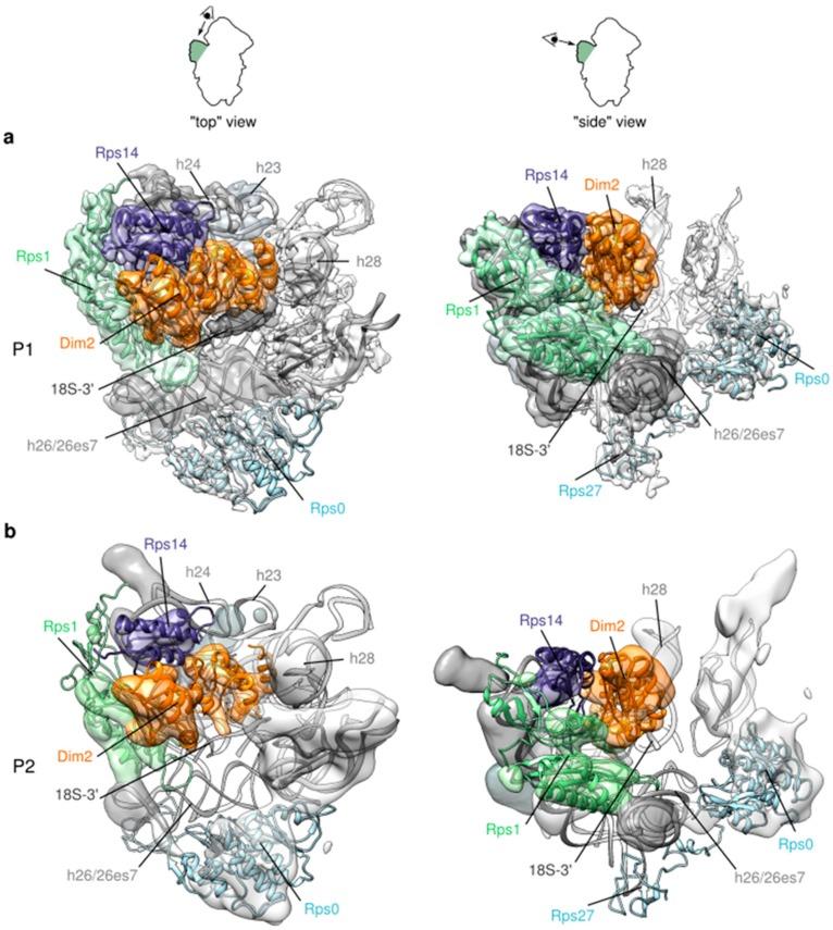 https://cdn.ncbi.nlm.nih.gov/pmc/blobs/44d3/7179242/22be4de1b890/molecules-25-01125-g004.jpg