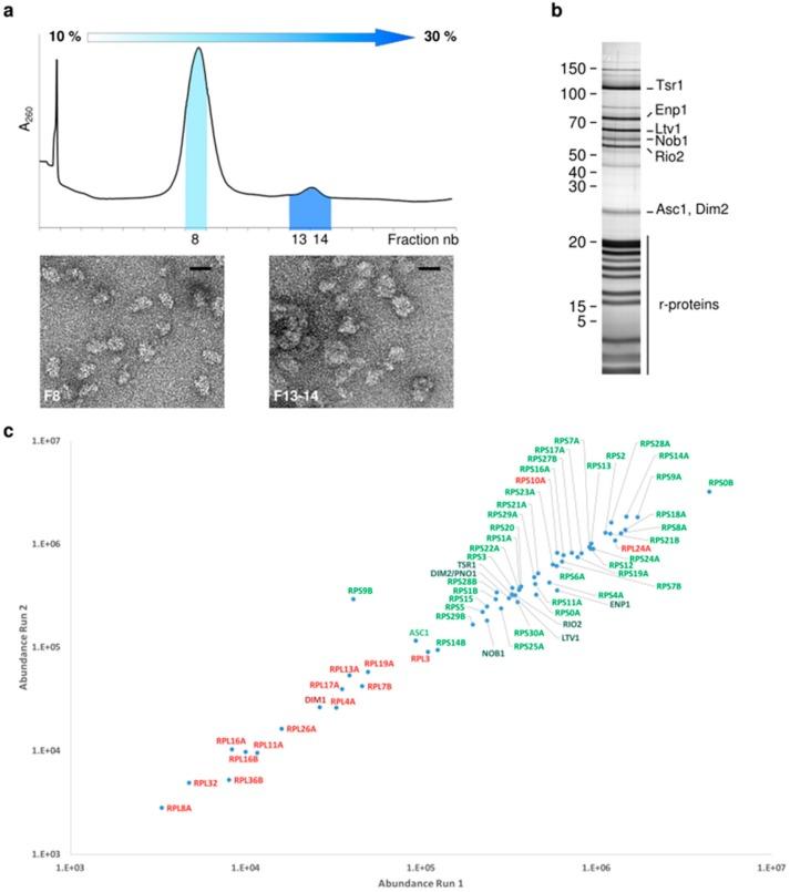 https://cdn.ncbi.nlm.nih.gov/pmc/blobs/44d3/7179242/3596e0e913c1/molecules-25-01125-g001.jpg