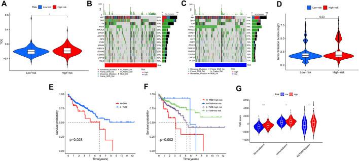 https://cdn.ncbi.nlm.nih.gov/pmc/blobs/44d3/9493326/052bdcac5098/fgene-13-971364-g009.jpg