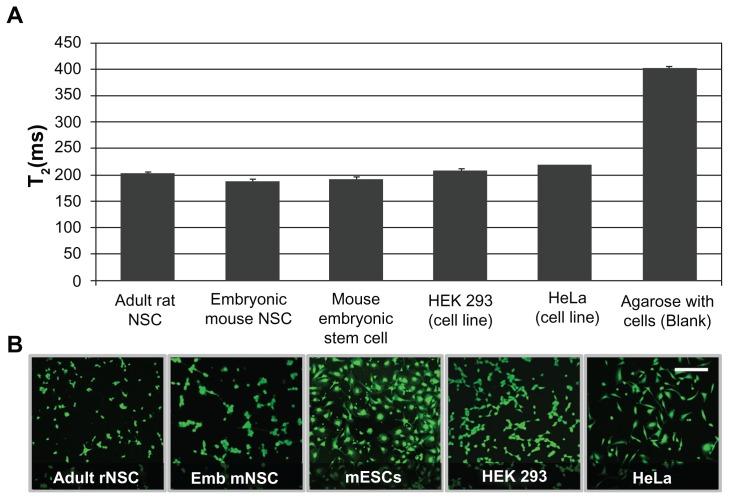 https://cdn.ncbi.nlm.nih.gov/pmc/blobs/44d4/3428249/27d3adcfcf36/ijn-7-4613f5.jpg
