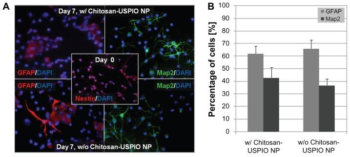 https://cdn.ncbi.nlm.nih.gov/pmc/blobs/44d4/3428249/67388b2bd388/ijn-7-4613f4.jpg