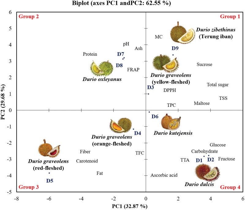 https://cdn.ncbi.nlm.nih.gov/pmc/blobs/44da/11318588/37bec0826322/peerj-12-17688-g003.jpg