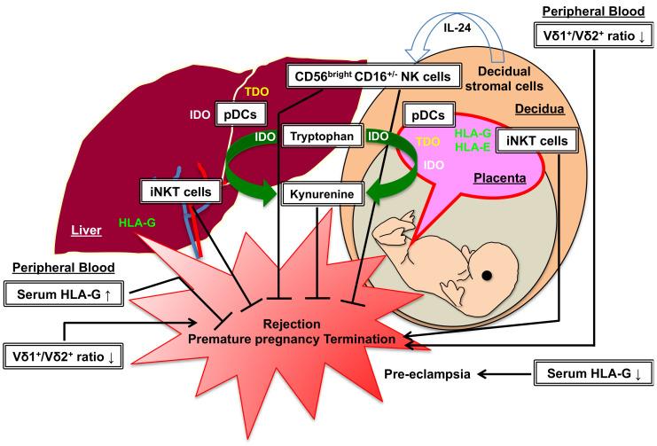 https://cdn.ncbi.nlm.nih.gov/pmc/blobs/44db/11395488/929664300b22/ijms-25-09331-g001.jpg