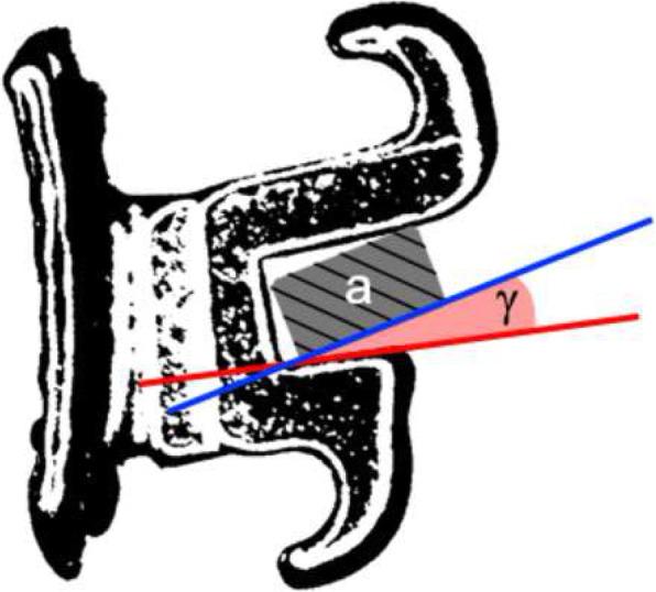 https://cdn.ncbi.nlm.nih.gov/pmc/blobs/44dd/7487281/b81b1a346e8c/40510_2020_333_Fig4_HTML.jpg