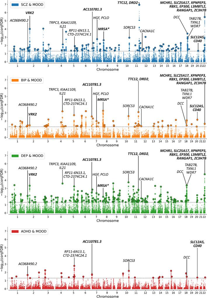 https://cdn.ncbi.nlm.nih.gov/pmc/blobs/44dd/9541703/e45a63ef0d09/AJMG-189-207-g001.jpg