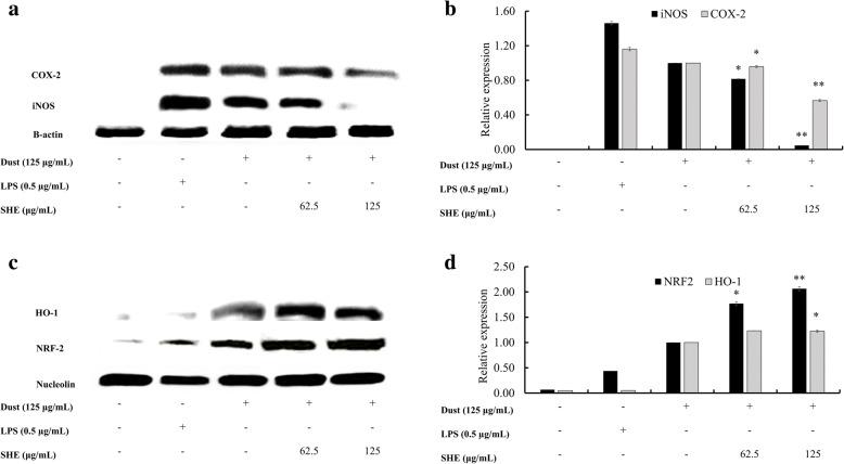 https://cdn.ncbi.nlm.nih.gov/pmc/blobs/44de/6131869/8c643418d197/12906_2018_2314_Fig5_HTML.jpg