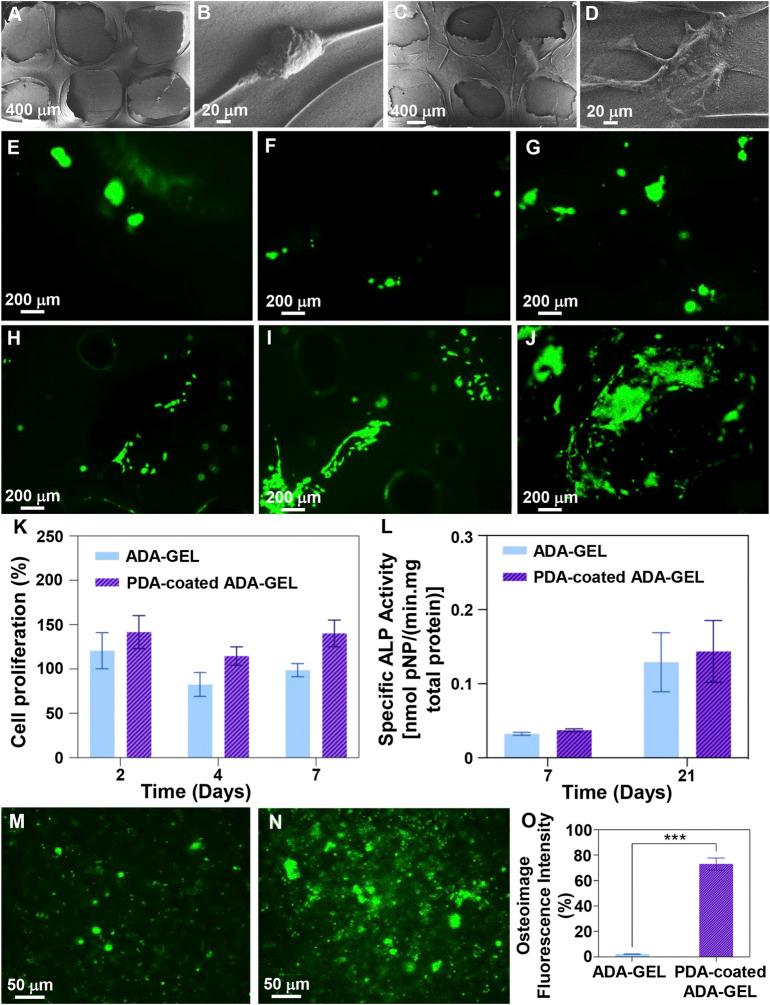 https://cdn.ncbi.nlm.nih.gov/pmc/blobs/44df/9393248/ca9862f7ce74/fbioe-10-940070-g007.jpg