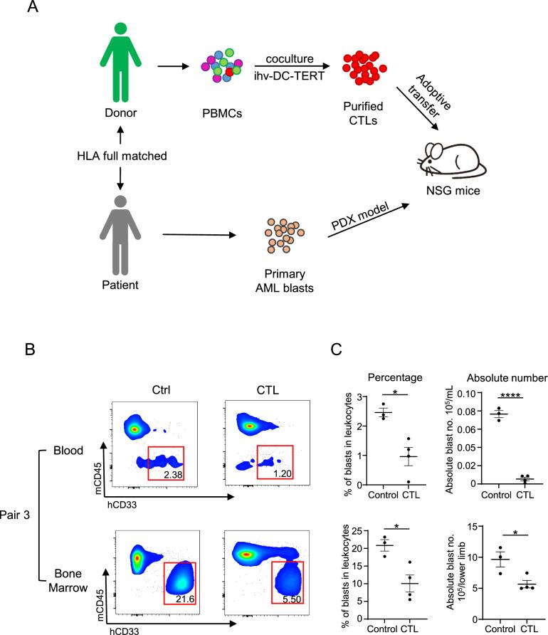 https://cdn.ncbi.nlm.nih.gov/pmc/blobs/44e1/11861774/7d2fbf07ed77/262_2025_3971_Fig4_HTML.jpg