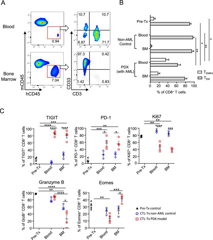 https://cdn.ncbi.nlm.nih.gov/pmc/blobs/44e1/11861774/cde0ac2fa77c/262_2025_3971_Fig5_HTML.jpg