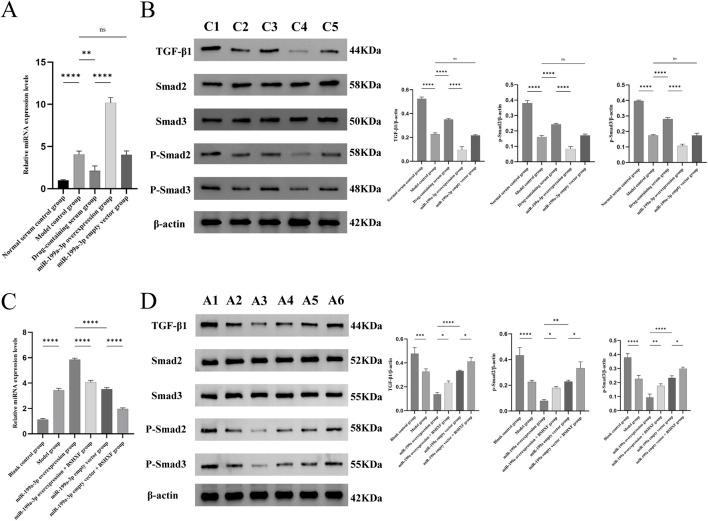 https://cdn.ncbi.nlm.nih.gov/pmc/blobs/44e4/12067415/1a3fb0089f4f/fphar-16-1583635-g008.jpg