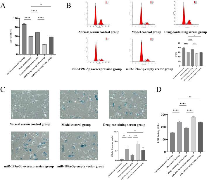 https://cdn.ncbi.nlm.nih.gov/pmc/blobs/44e4/12067415/40cf2391a90a/fphar-16-1583635-g004.jpg