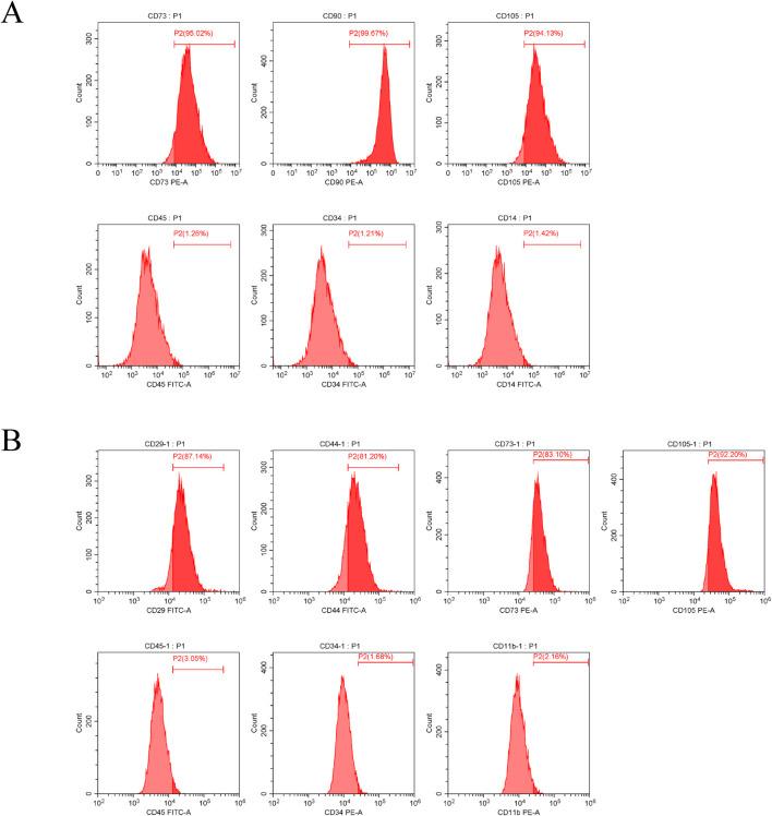 https://cdn.ncbi.nlm.nih.gov/pmc/blobs/44e4/12067415/8e1cce3af6ab/fphar-16-1583635-g001.jpg