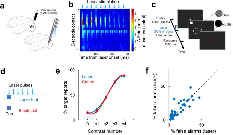 https://cdn.ncbi.nlm.nih.gov/pmc/blobs/44e4/12216384/f088bb637ea2/41467_2025_60731_Fig1_HTML.jpg