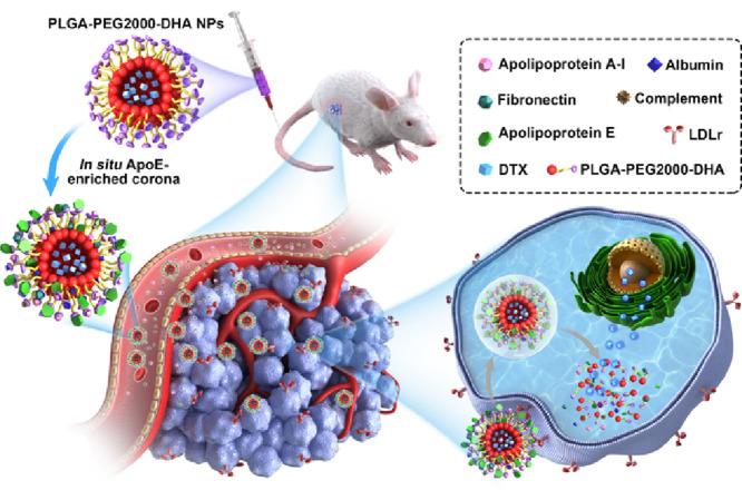 https://cdn.ncbi.nlm.nih.gov/pmc/blobs/44e4/7486546/9b8ac83d8534/fx1.jpg