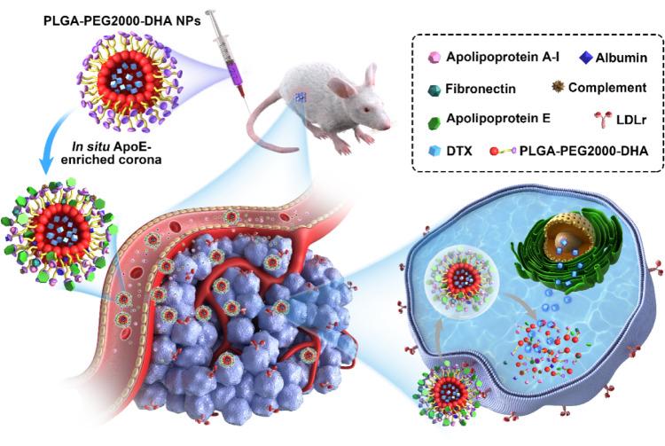 https://cdn.ncbi.nlm.nih.gov/pmc/blobs/44e4/7486546/aaca5c4a1191/gr1.jpg