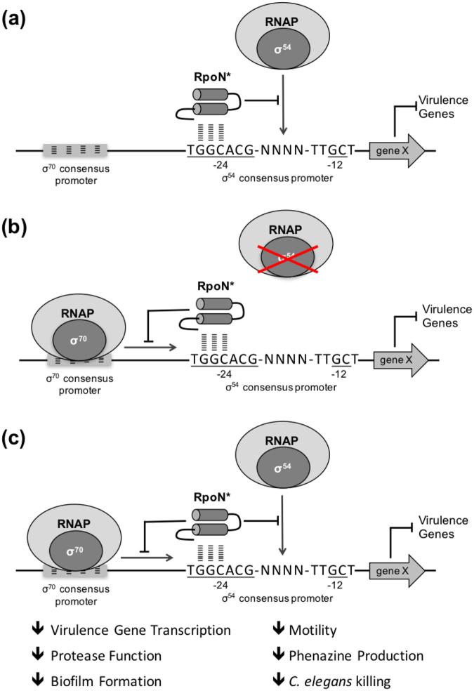 https://cdn.ncbi.nlm.nih.gov/pmc/blobs/44e6/5626770/ce5ded4ae9fe/41598_2017_12667_Fig3_HTML.jpg