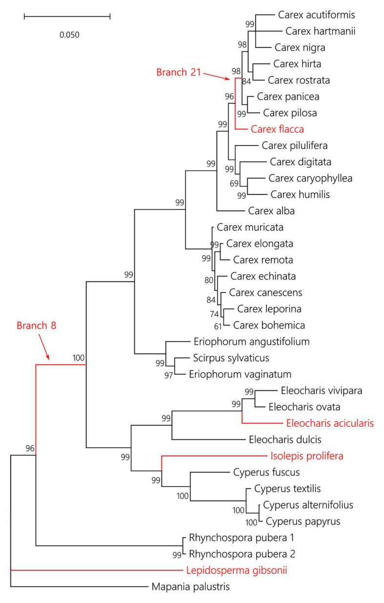 https://cdn.ncbi.nlm.nih.gov/pmc/blobs/44e9/7933567/a578ac0b8c4b/fpls-12-642661-g002.jpg