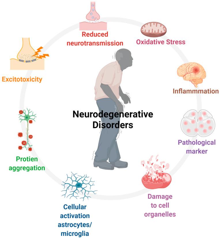 https://cdn.ncbi.nlm.nih.gov/pmc/blobs/44ec/11720483/2a4dbaca7bf5/ijms-26-00152-g008.jpg