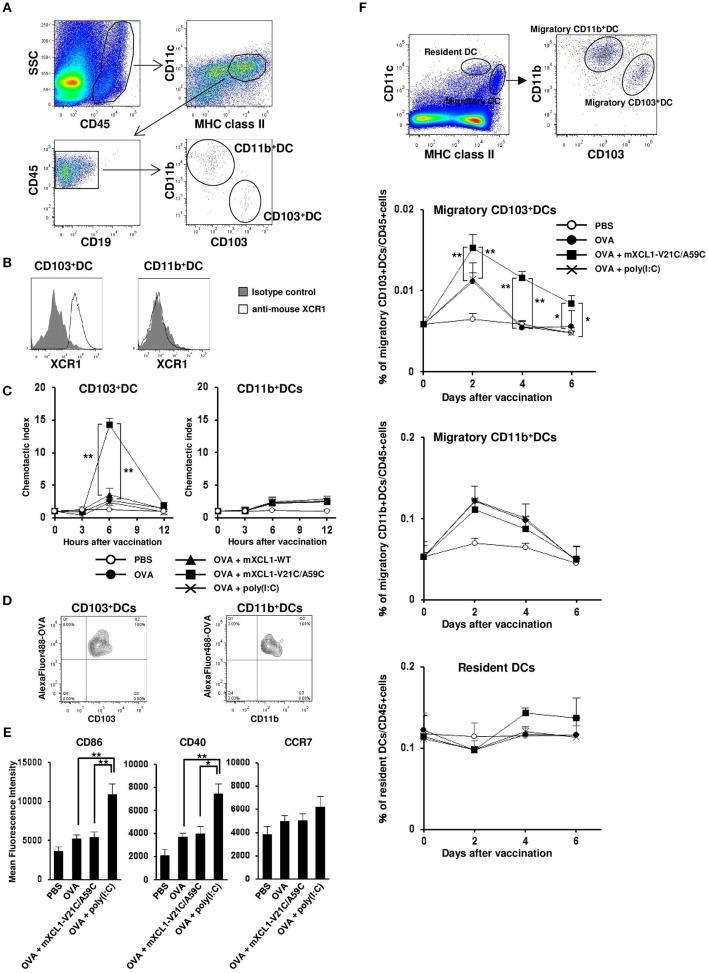 https://cdn.ncbi.nlm.nih.gov/pmc/blobs/44ef/6277777/b16d254d11d1/fimmu-09-02775-g0003.jpg