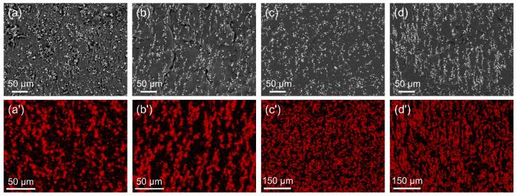https://cdn.ncbi.nlm.nih.gov/pmc/blobs/44f0/12390496/d39739f00ace/polymers-17-02228-g004.jpg