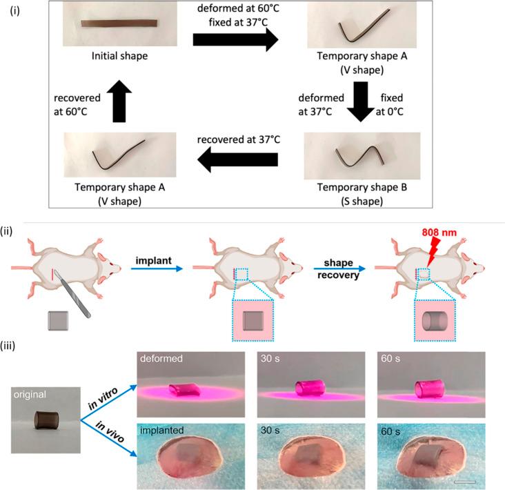 https://cdn.ncbi.nlm.nih.gov/pmc/blobs/44f1/11299057/d8a910c1ea1c/d4ra04754k-f4.jpg