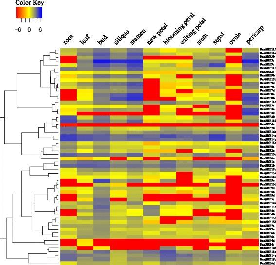 https://cdn.ncbi.nlm.nih.gov/pmc/blobs/44f5/5017063/75ffe05ae615/12870_2016_852_Fig7_HTML.jpg