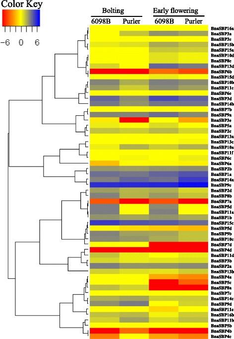 https://cdn.ncbi.nlm.nih.gov/pmc/blobs/44f5/5017063/a5a237a594c1/12870_2016_852_Fig9_HTML.jpg