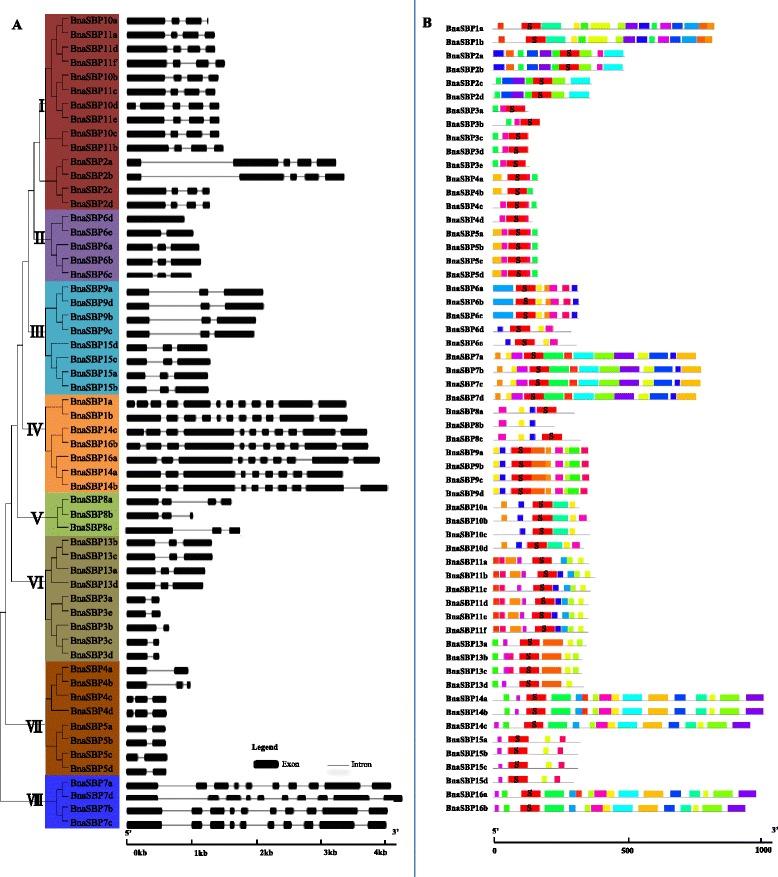 https://cdn.ncbi.nlm.nih.gov/pmc/blobs/44f5/5017063/c9a6cce628d2/12870_2016_852_Fig3_HTML.jpg