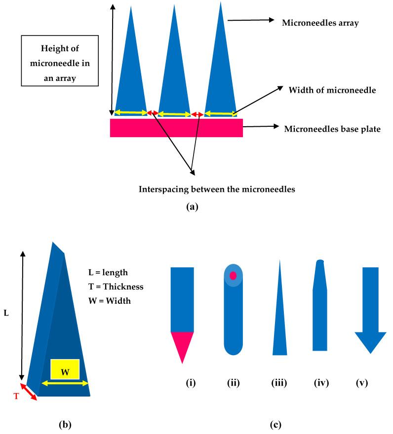 https://cdn.ncbi.nlm.nih.gov/pmc/blobs/44f5/7698361/01c54bd78ab8/pharmaceutics-12-01101-g004.jpg
